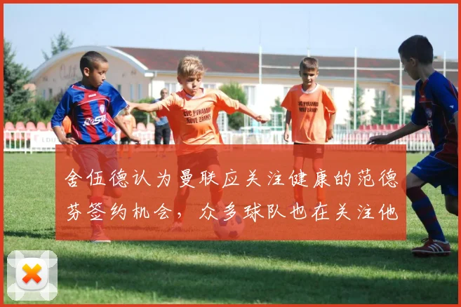 舍伍德认为曼联应关注健康的范德芬签约机会，众多球队也在关注他